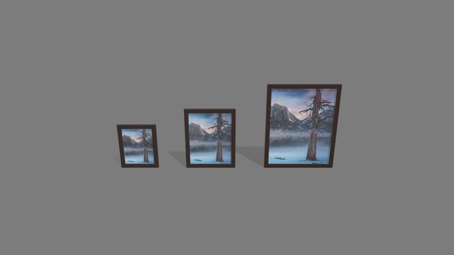 Framed Art Prints