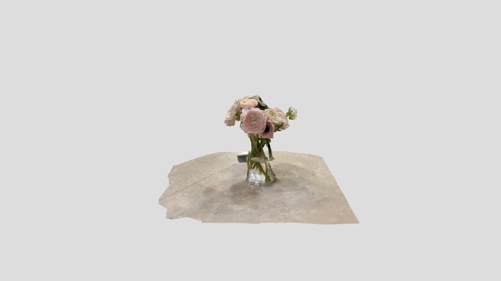 Untitled Scan 3D Model