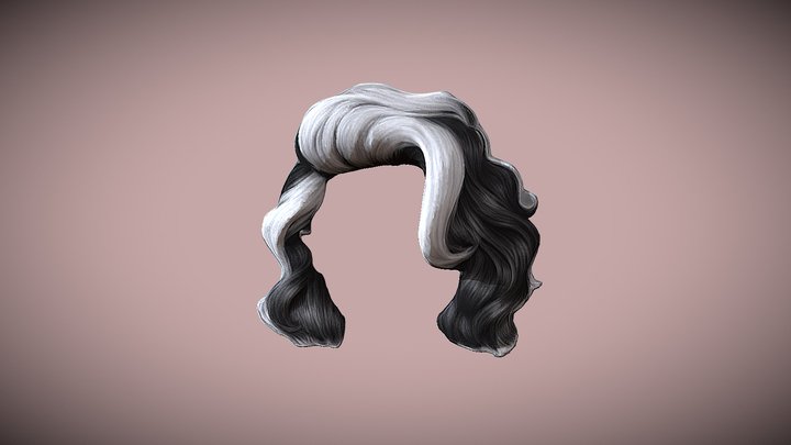 Black White Hair