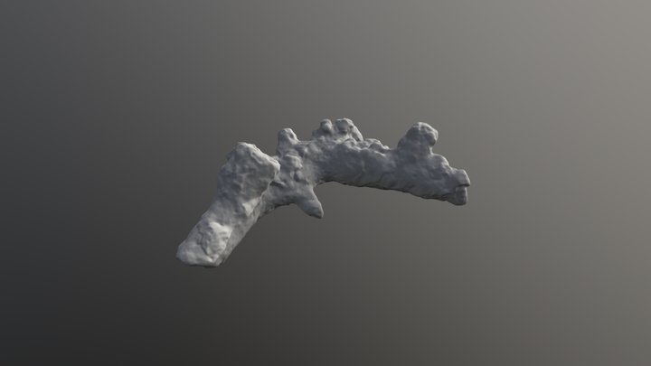 Corail mort de l'île de la Réunion 3D Model