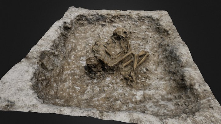 Late Bronze Age (Beaker) burial 3D Model