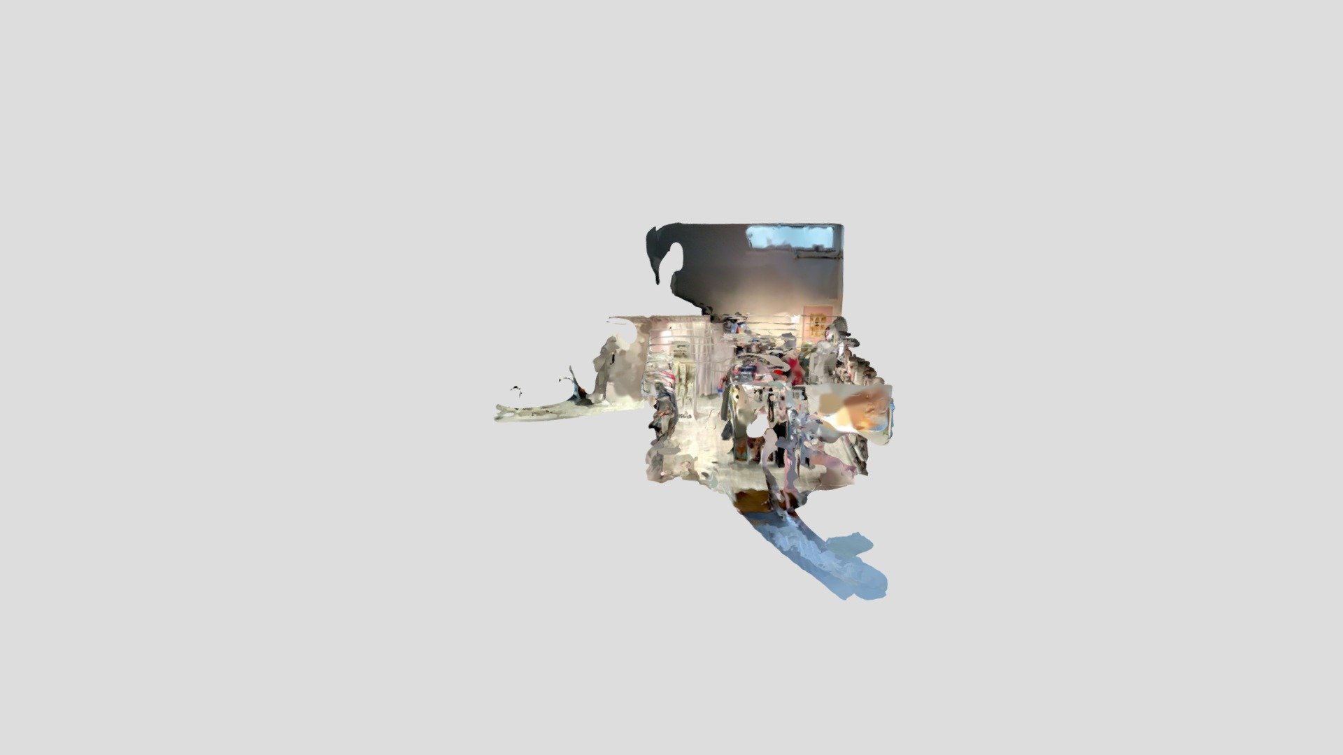 Polycam capture