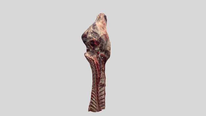 Photogrammetry Meat Carcass 3D Model