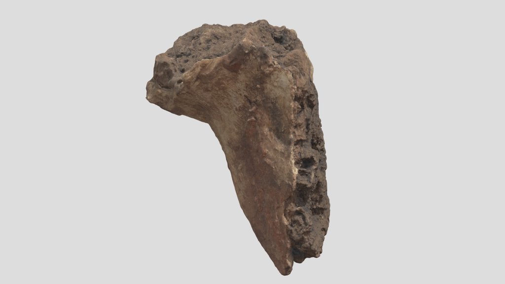 ダルヴェルジン・テペ DT−25出土塑像（R-11-18）