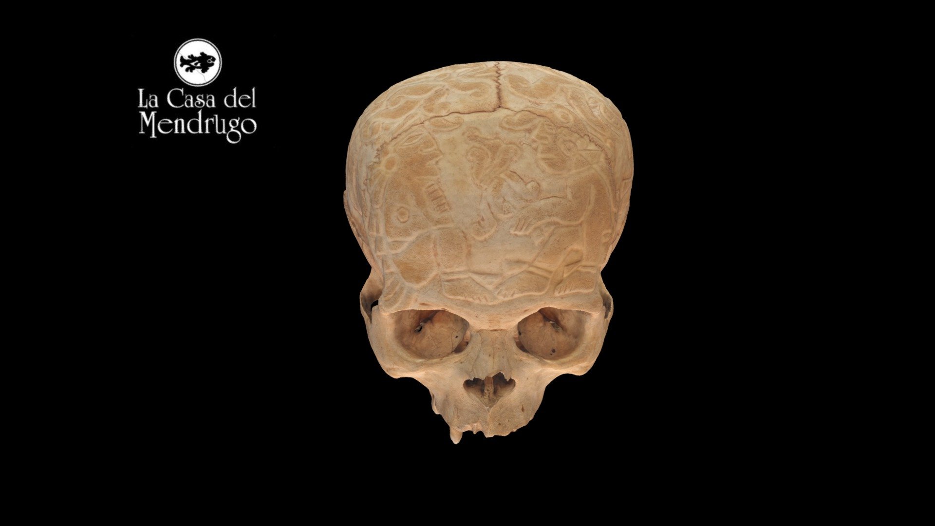 CCCM4 by Angélica Diosdado & Oswaldo Camarillo