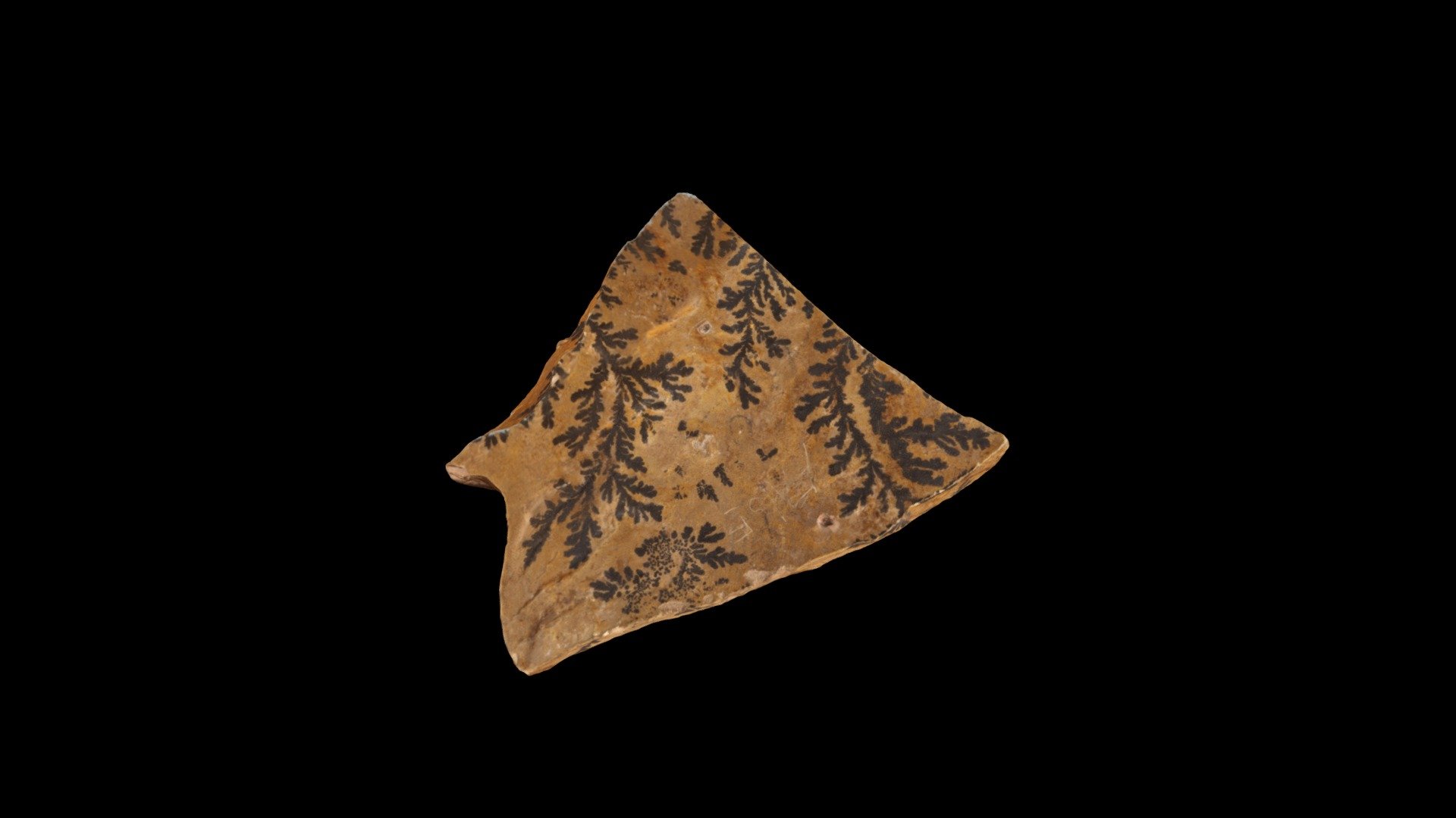 pyrolusite (dendrites) 9-19 #3181