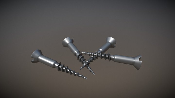 Screws 3D Model