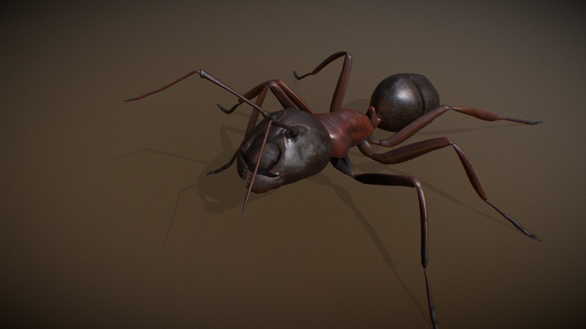 Animalia - Carpenter Ant - 3D Model By GiM (@GamesInMotion) [e254bcd ...