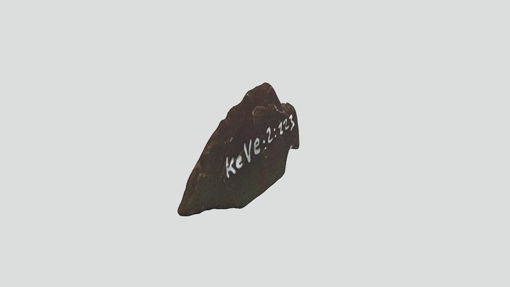 SFN 3D Lithic Project Projectile Point 3D Model