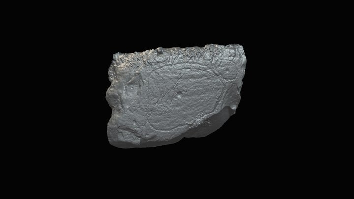 Patrick's Neolithic Rock Art, Cup & Ring, Kerry 3D Model