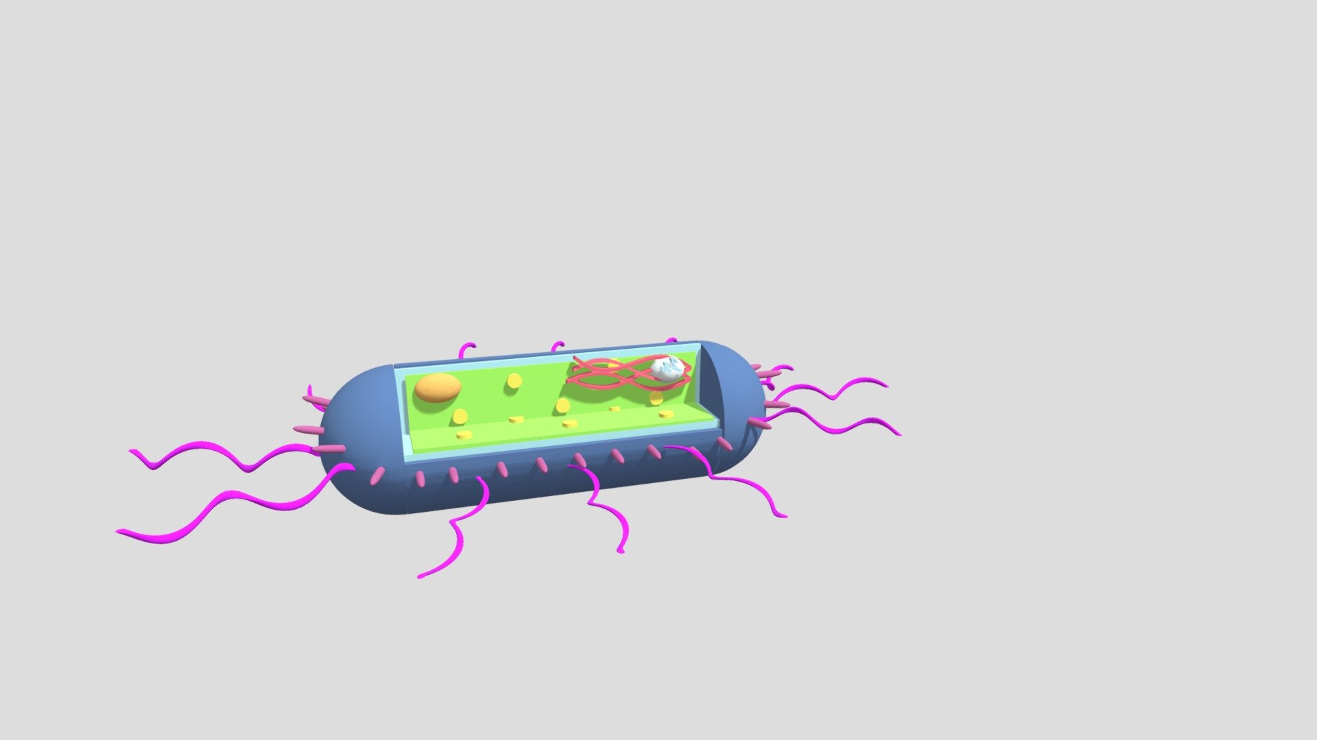 microughs_listeriamonocytogenes_emro/lmsa/kdgr