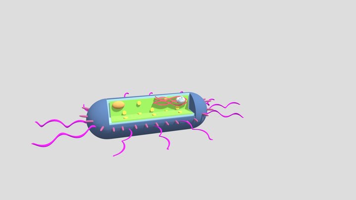 microughs_listeriamonocytogenes_emro/lmsa/kdgr 3D Model