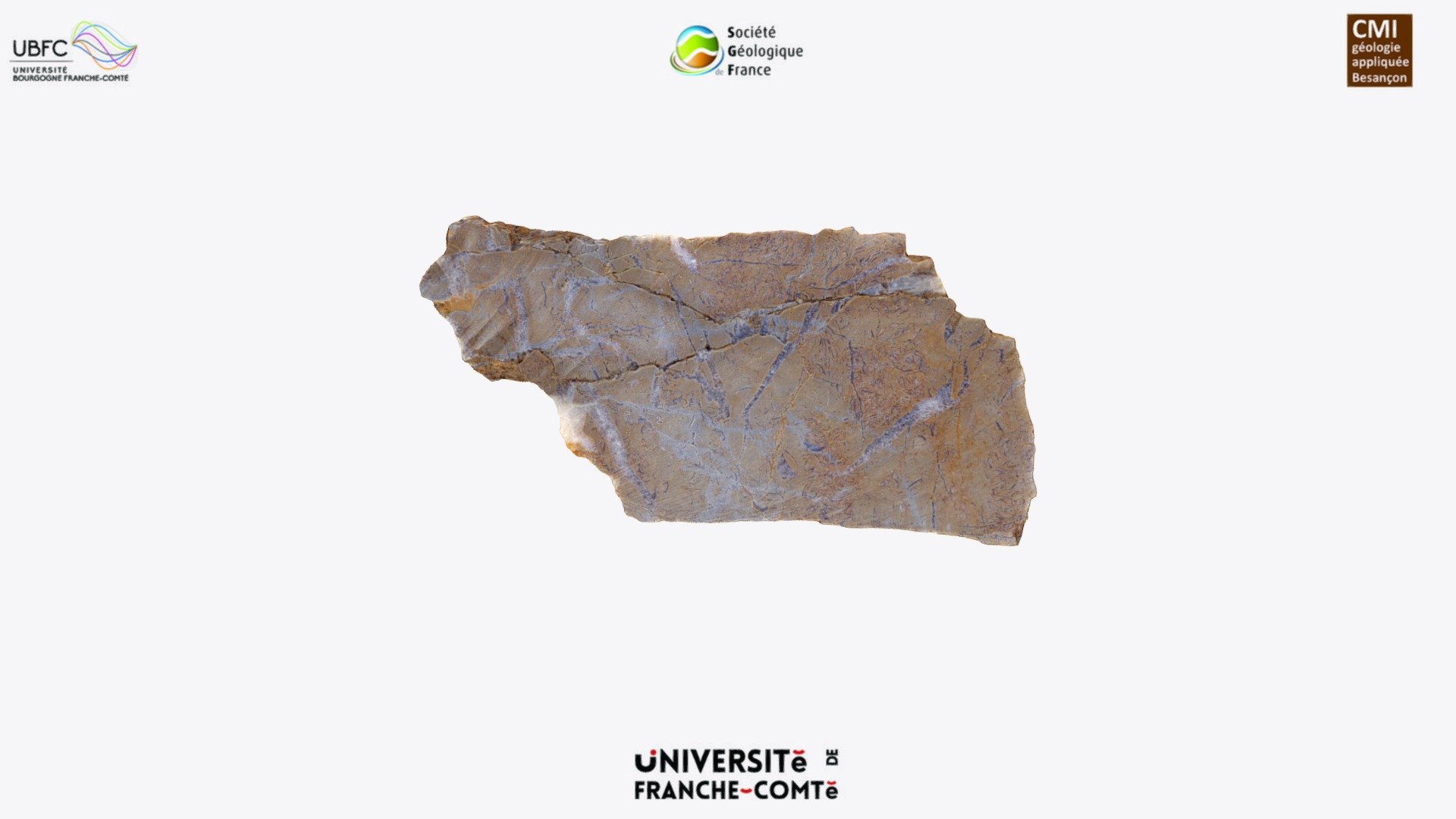Fractured/veined limestone lense