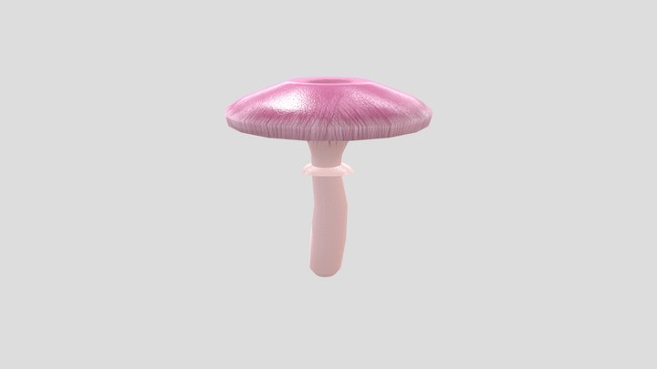 Pink Mushroom 3D Model