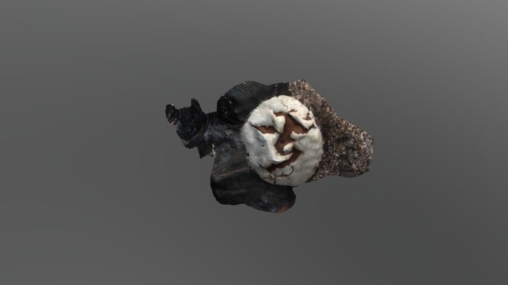 Fungus oozing from 3D Model
