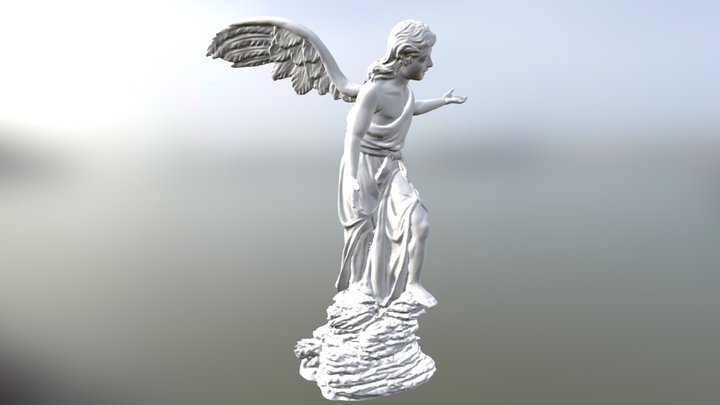 Angel Fin Decimated 3D Model
