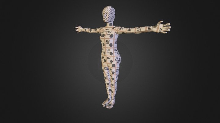 U V Female Body 3D Model