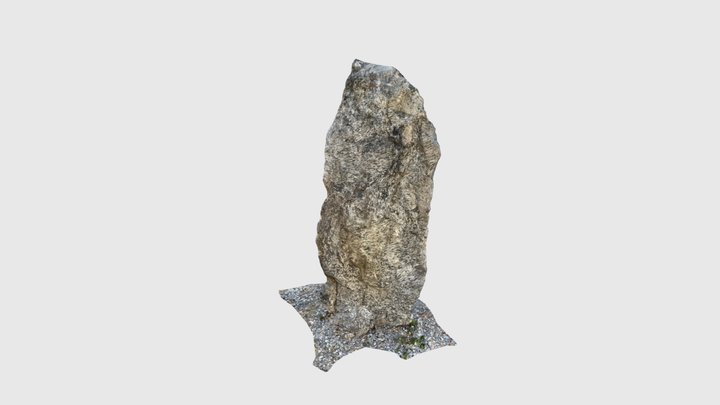 珊瑚礁石灰岩 3D Model