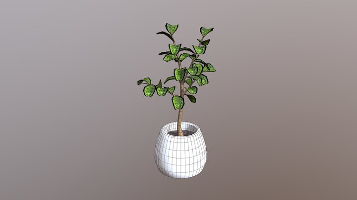 Assignment13 3D Model