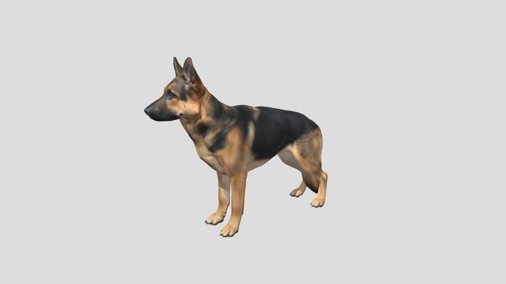 German Shepherd Sentinel In Profile – Kostenloses 3D-Modell STL
