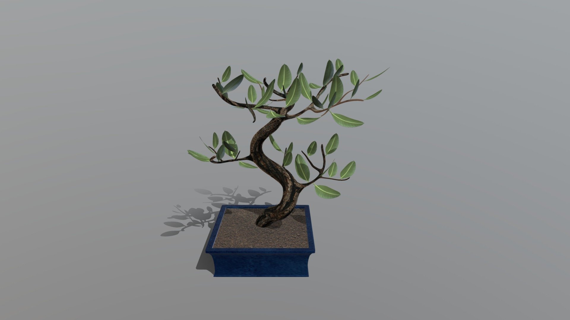 plant_sketch_3 - 3D model by pogueja [e26ba69] - Sketchfab