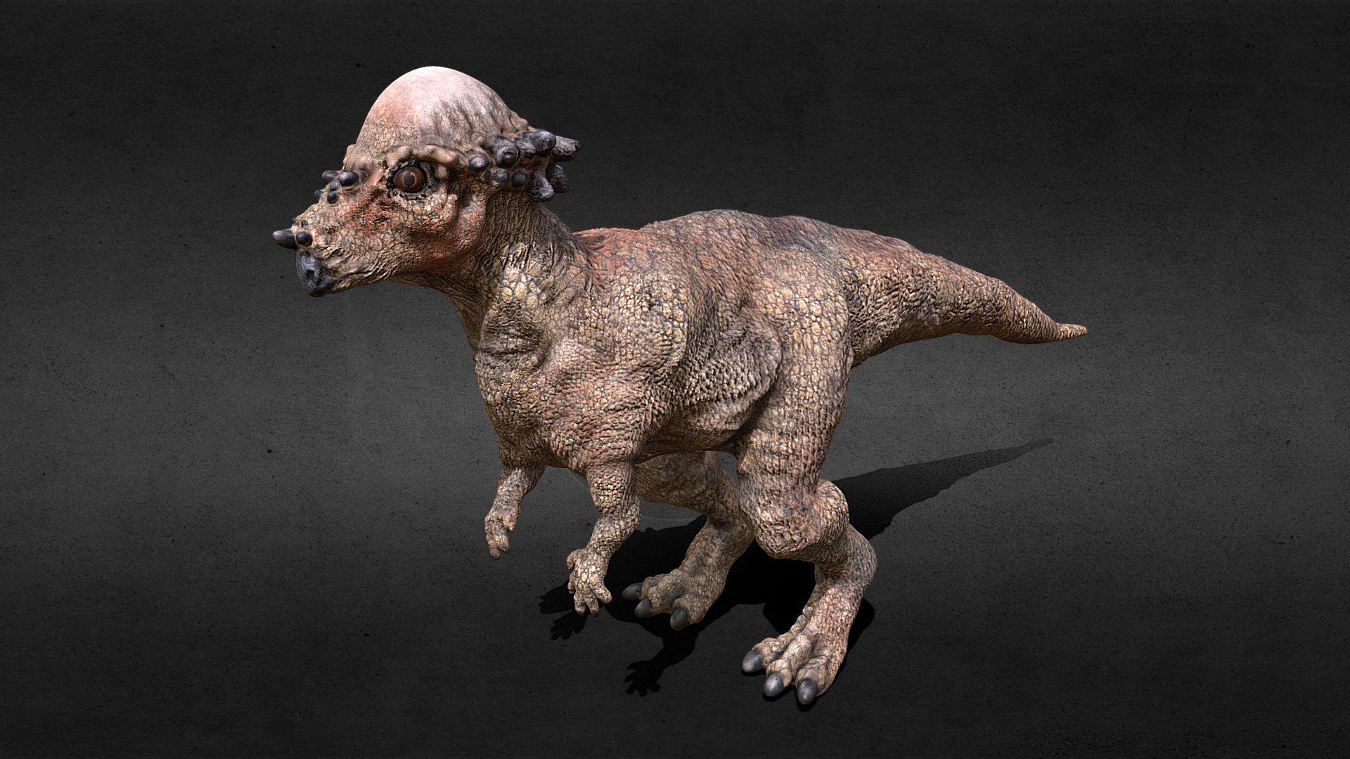 Pachycephalosaurus