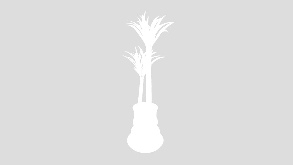 Indoor Plant Yucca Elephantipes Gigantea