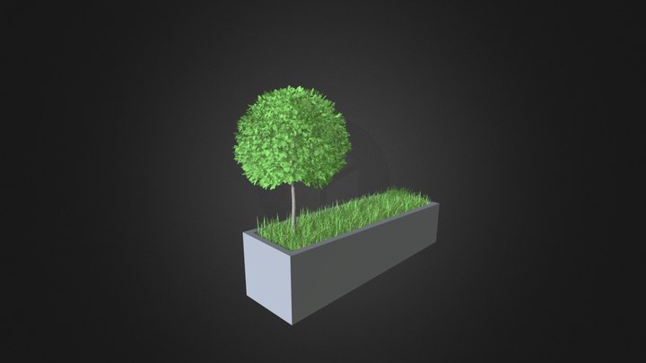 Tree an Grass in Rectangular Planter 3D Model