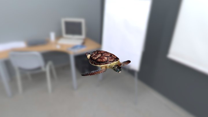 SEA TURTLE TEST 3D Model