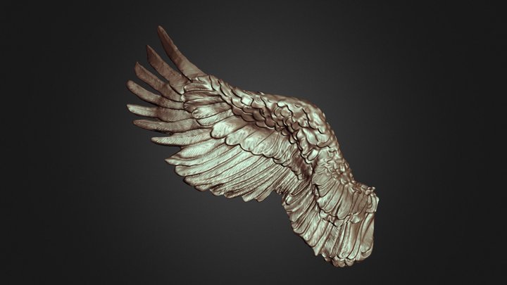 Eagle's Wing 3D Model