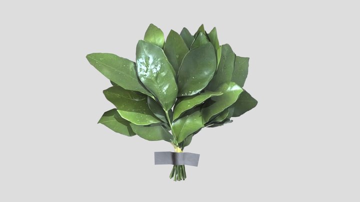 YuZuLeaf__ PomeloLeaves柚子叶LowPoly – Modello 3D gratuito STL