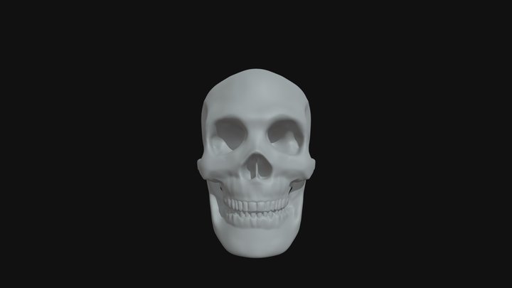 T3d_skull_orient 3D Model
