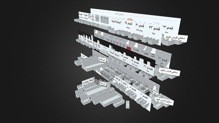 Kasralainy Hospital 3D Map_ خريطة قصر العيني 3D Model