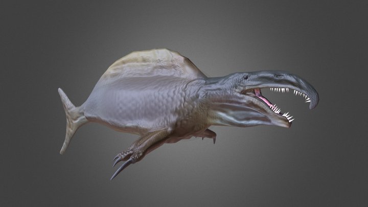 Spinofaarus vulgaris – Free 3D Model STL