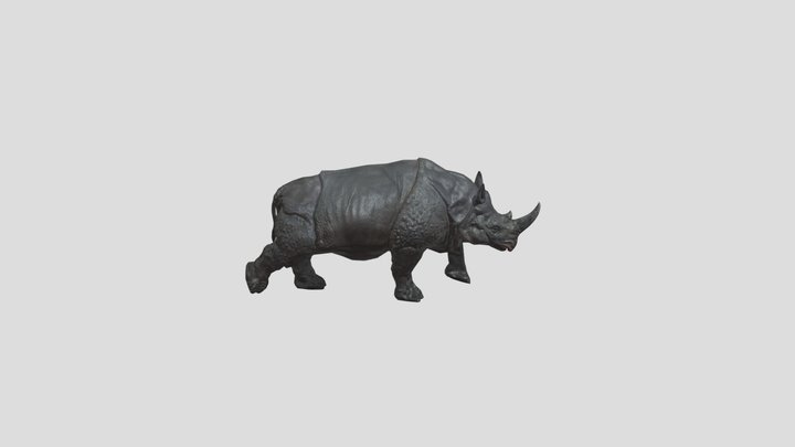 rhino_animation_walk 3D Model