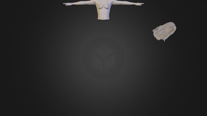 Wowman 3D Model