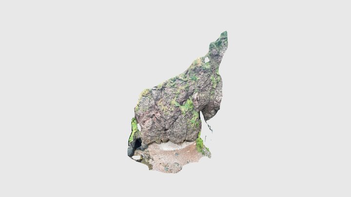 Cushendun Formation conglomerate 3D Model
