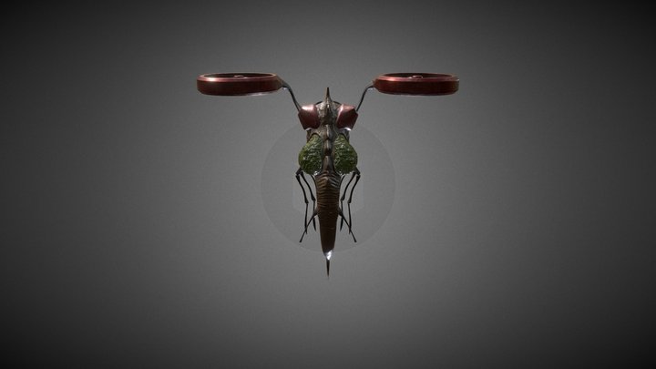 B2C2 Charline Sacré 3D Model