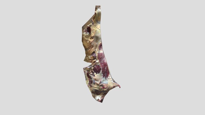 Carcass - Low Poly 3D Model