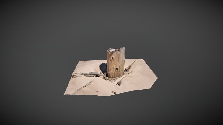 Stump1 3D Model