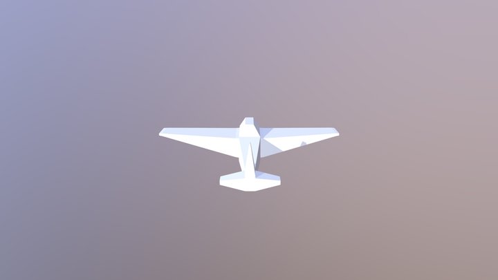 Flight 3D Model