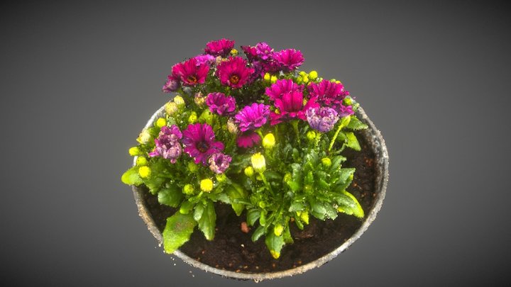Flowers – Free 3D Model STL