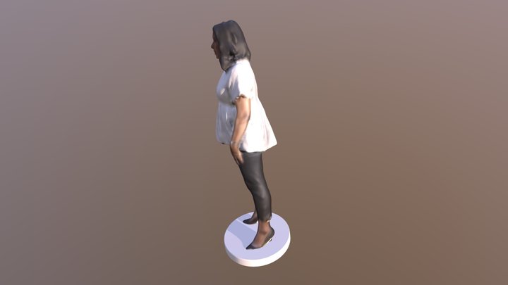 Gaurav Wife - Second Visit 3D Model