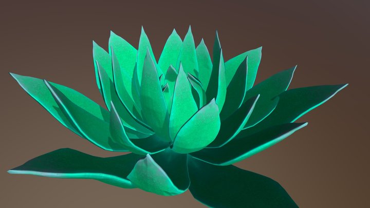 Succulent Flower