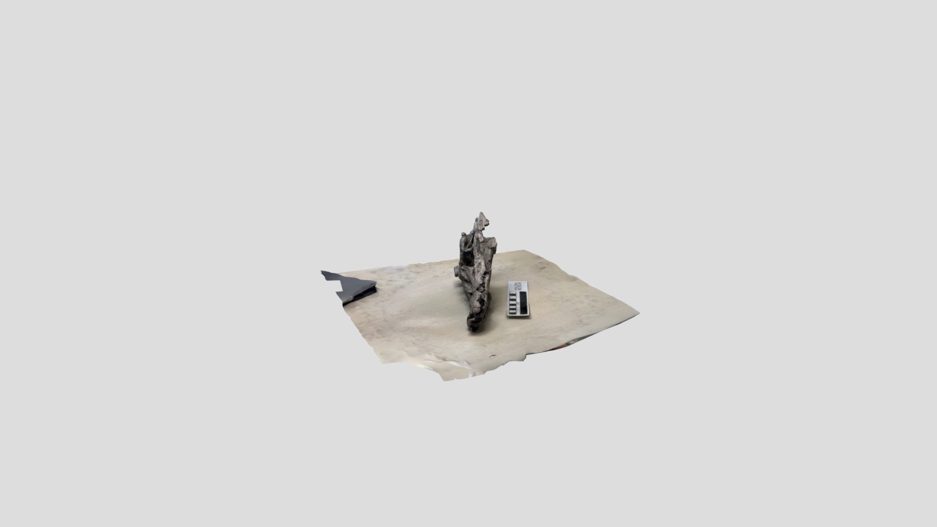 Nipping skull left lateral
