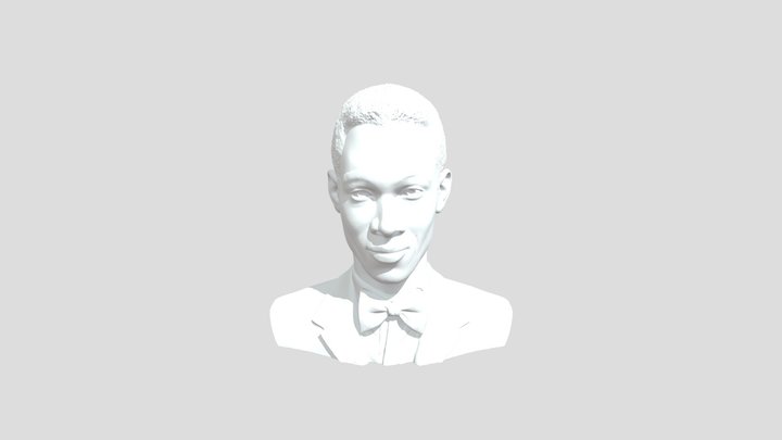 Elegance in Black and White 3D Model