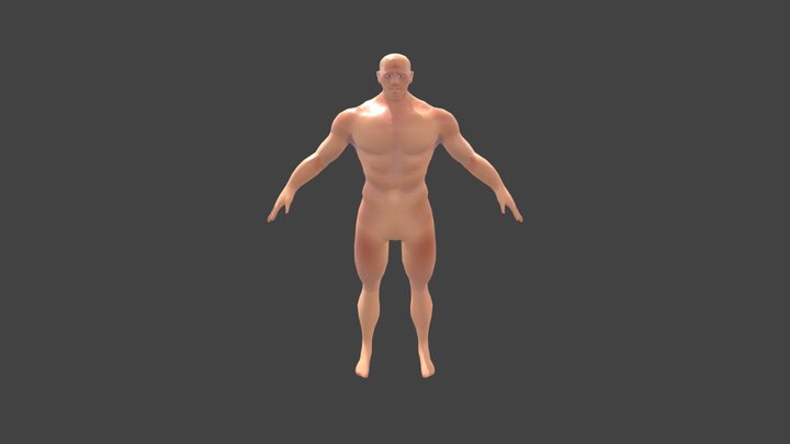 Arnold 3D Model