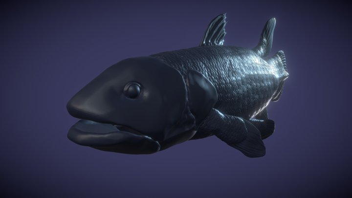 Coelacanth