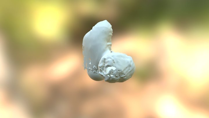 Mason Head Bead 3D Model