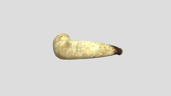 Carvedhorn1 3D Model